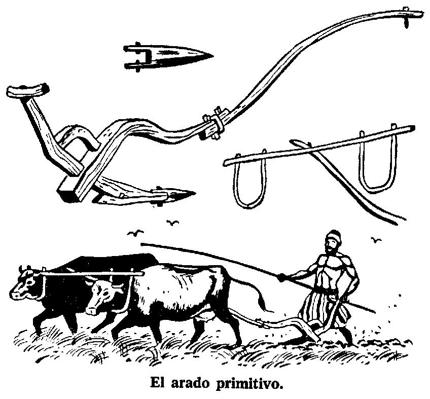 Tienda de pelo de cabra