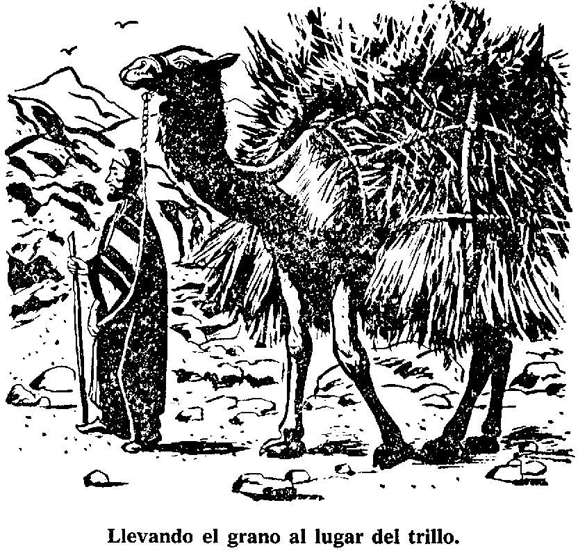 Tienda de pelo de cabra