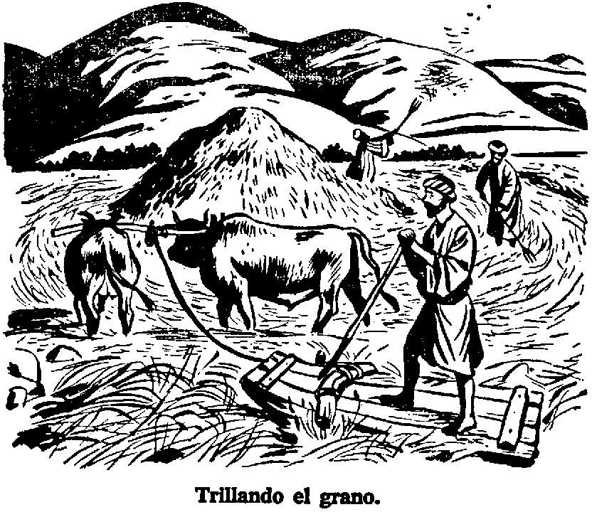 Tienda de pelo de cabra