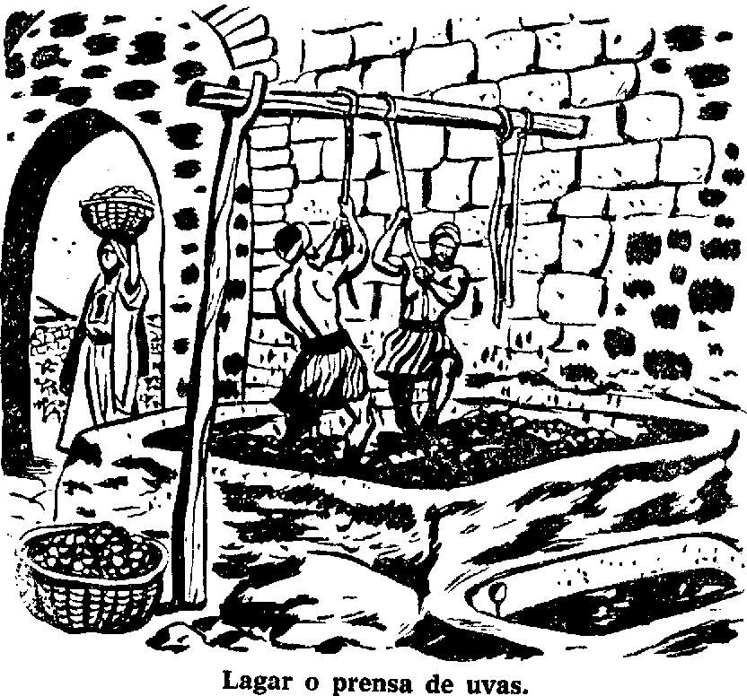 Tienda de pelo de cabra